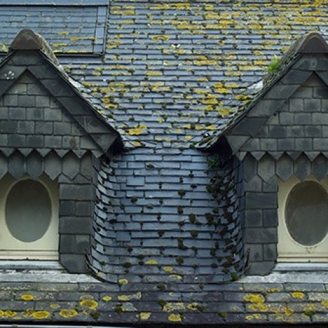 demoussage toiture saumur