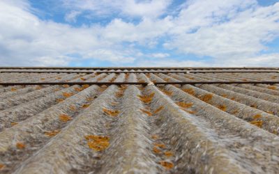 Anti-mousse naturel pour éliminer les lichens