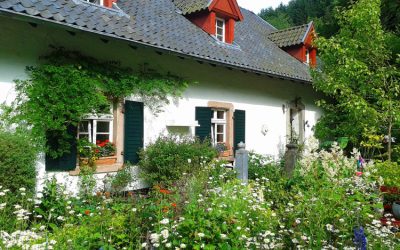 Des lucarnes de toit