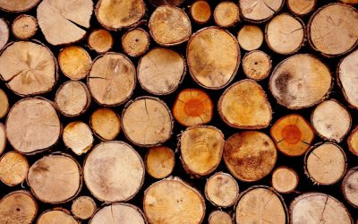 Bois de charpente