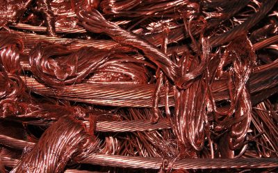 Bande de cuivre anti mousse