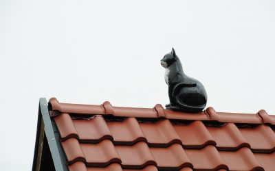 Différences entre les toitures EPDM et PVC