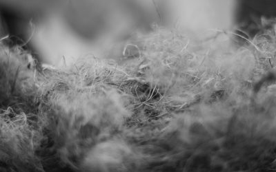 Risques d’une toiture en fibrociment amiante